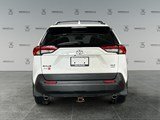 2020 Toyota RAV4 XLE image 4