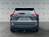 2019 Toyota RAV4 XLE image 4
