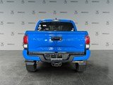 2021 Toyota Tacoma Base image 4
