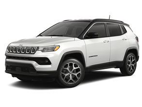 Custom Trim Sample Image CAD50JES151E0