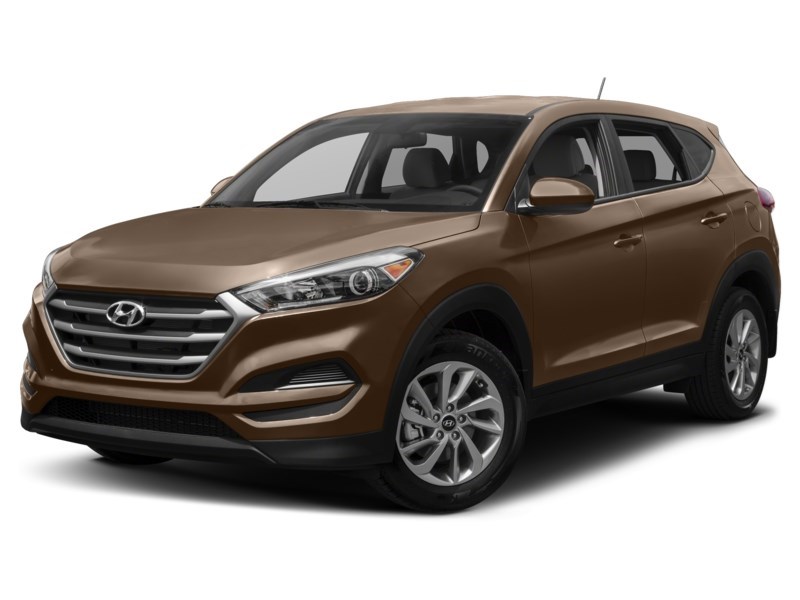 2017 Hyundai Tucson AWD 2.0L Premium Exterior Shot 1