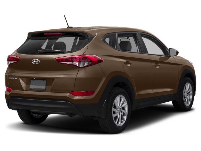 2017 Hyundai Tucson AWD 2.0L Premium Exterior Shot 2