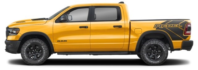Baja Yellow Clear Coat [Yellow]