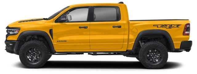Baja Yellow Clear Coat [Yellow]