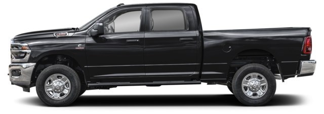 Black [Black]